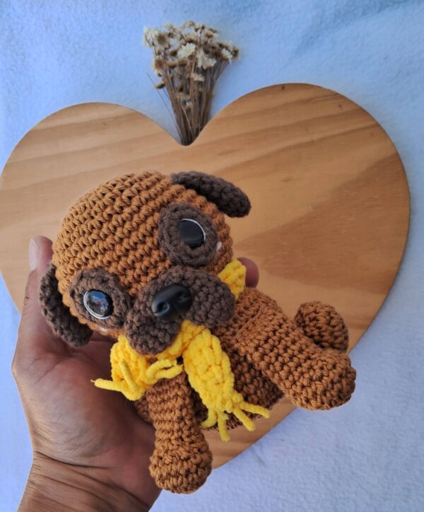 Cachorro
